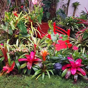 Paradise At Anthurium Hale , Hilo États-Unis